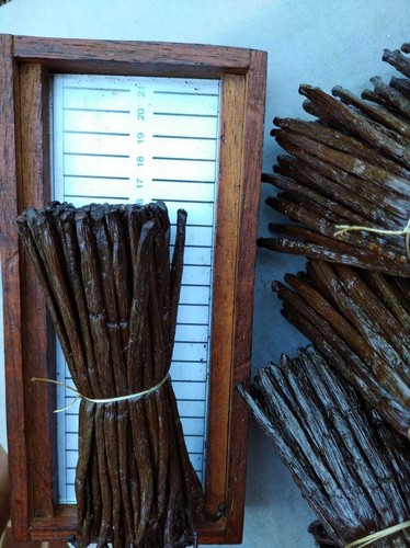 Baccelli vaniglia bourbon - baccelli,