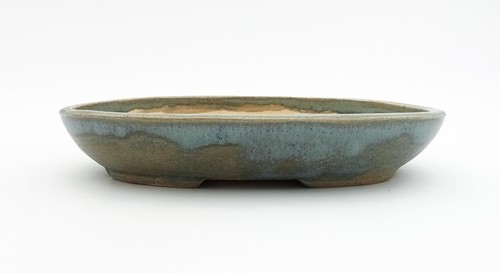 Vaso bonsai artigianale - , ovale