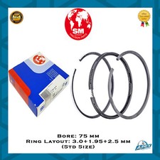 FORD C-MAX FOCUS 1.6 TDCI DIESEL MOTORE G8DA HHDA FASCE ELASTICHE PISTONE