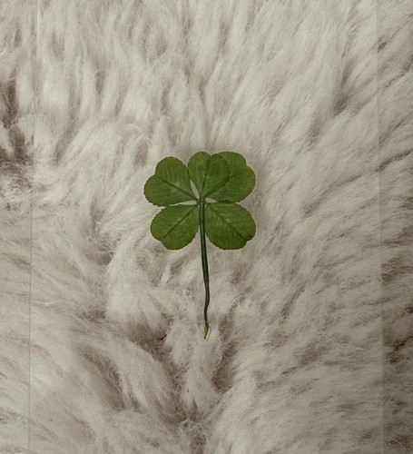 Raro vero trifoglio 5 - 🍀raro,