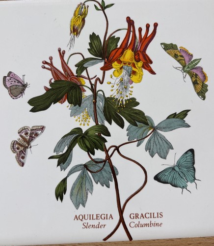 Portmeirion tagliere per - tagliere,
