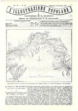 Illustrazione popolare 10 - popolare,
