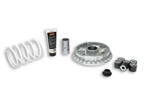 5114264 variatore malossi - 5114264,