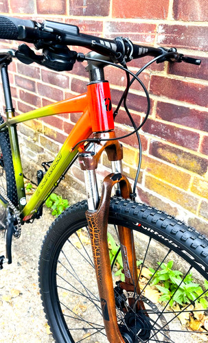Specialized elite custom mtb - custom,