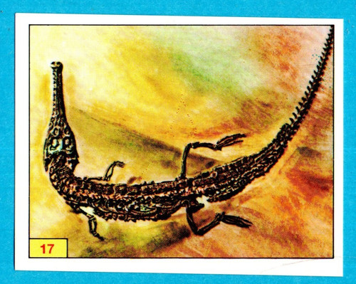 DINOSAURS/ANIMALI