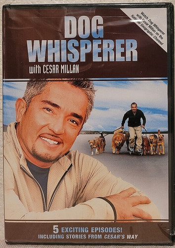 Dog whisperer with - whisperer, cesar