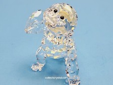 Swarovski giovane gorilla con