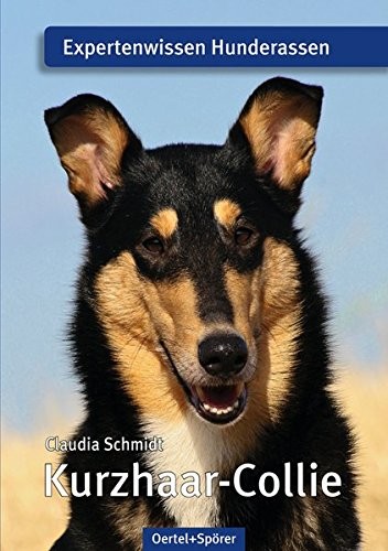 			Kurzhaar-Collie