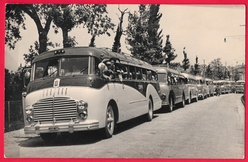 Autobus fiat zoppi targato - zoppi,