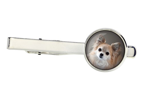 Chihuahua pelo lungo spilla - a,