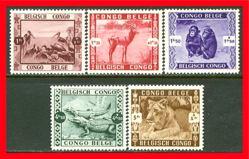 Francobolli semipostali congo - semipostali,