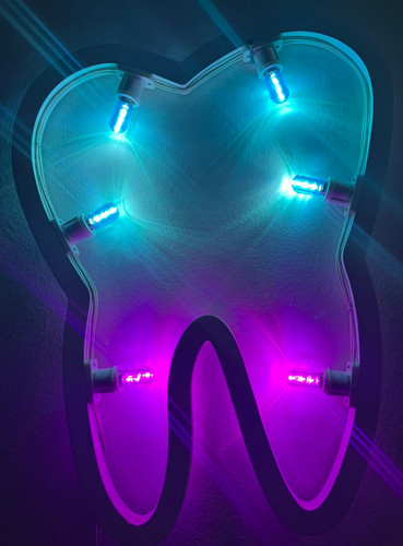 Luminaria salentina dente - luminaria, 6