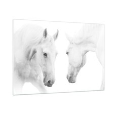 Quadro su Vetro 100x70cm