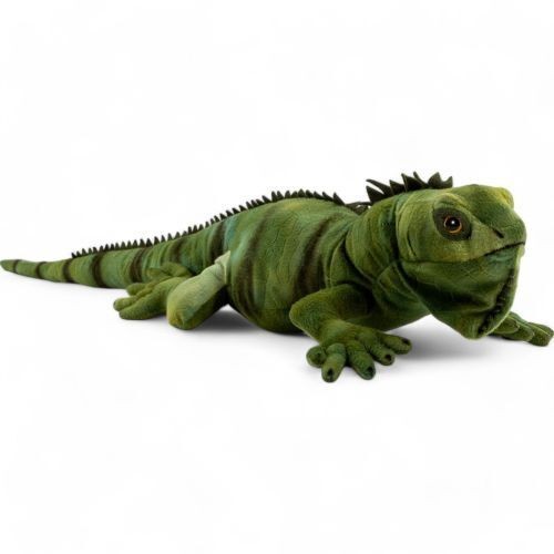 Peluche iguana circa cm - iguana, di