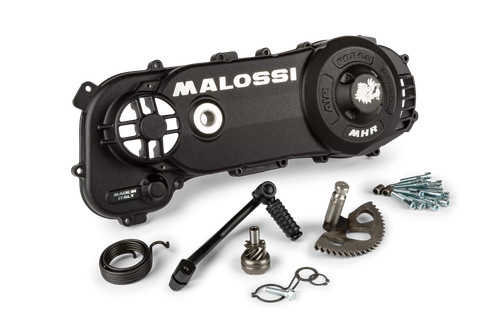 Coperchio variatore malossi - variatore,