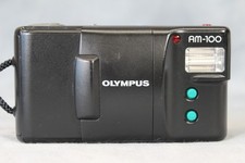 Olympus AM-100 Picasso Petite
