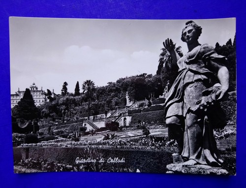 Cartolina foto collodi - cartolina,