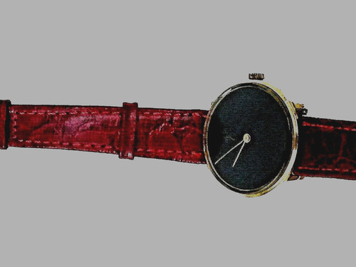 Trucchi lady swiss made - -,