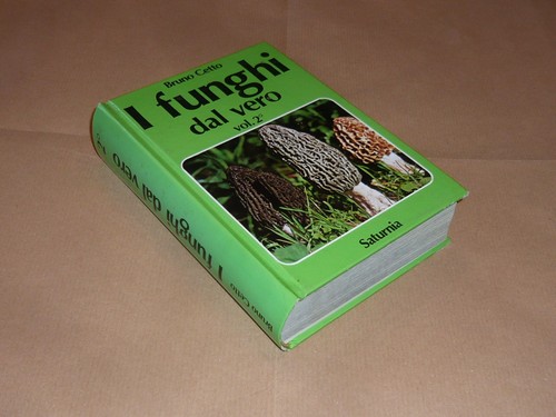 Bruno cetto funghi - i, vero