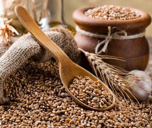 Farro perlato kg - farro,