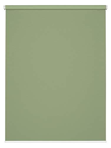 Gardinia - 45,