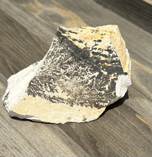 Pietra calcarea dendritica
