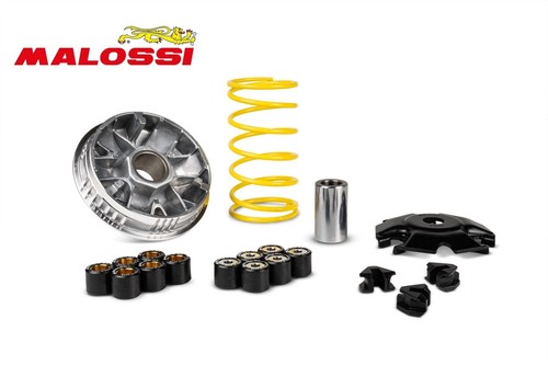 Variatore malossi multivar - variatore,