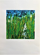 Mario Schifano - litografia