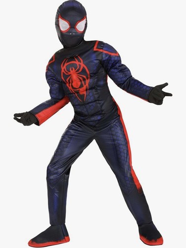 Costume spiderman through the - costume,