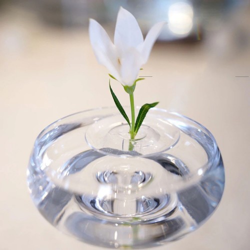 Espositore fiori ciotole pesci - espositore,