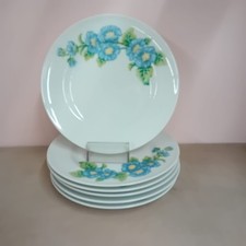 6 Piatti RICHARD GINORI Porcellana VINTAGE Decorazione Fiori Azzurri Italia