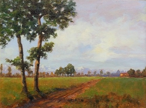 Cesare denoyè torino - (torino,
