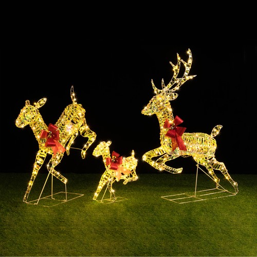 Famiglia renne luminose di - famiglia, 3