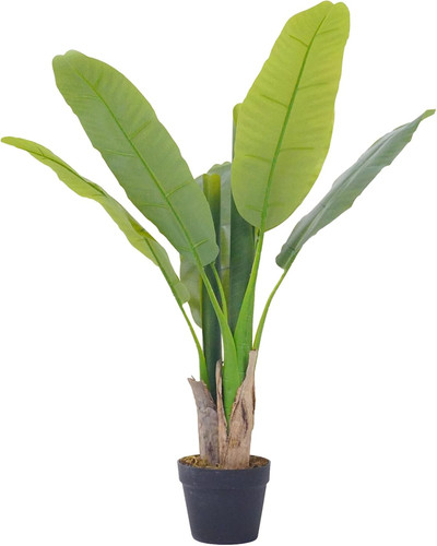 Pianta finta interno - pianta,