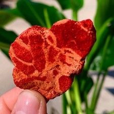 Campioni minerali marini