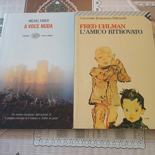 Voce nuda michel - voce, faber
