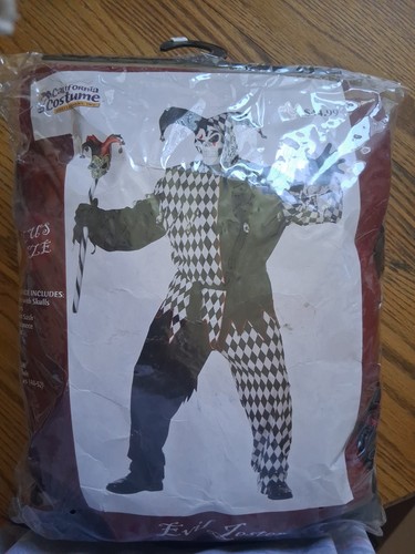 Costume california giullare - costume,