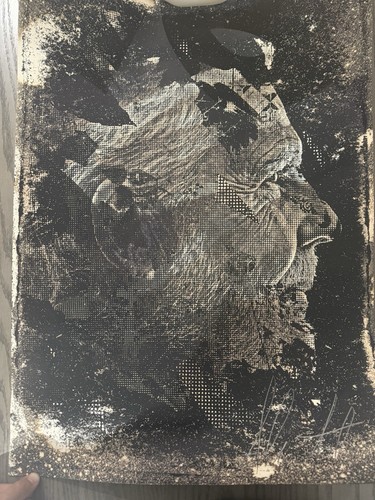 Stampa firmata vhils - stampa,