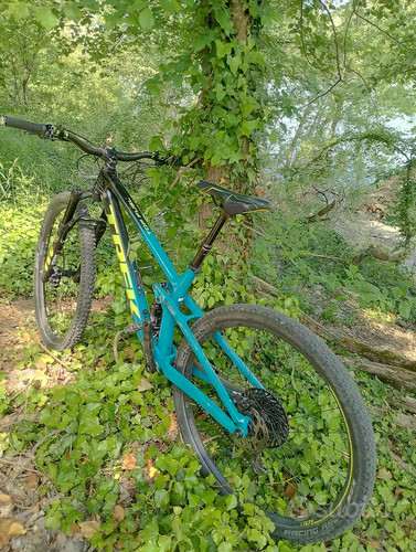Mtb carbonio trek top fuel - 29,