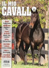 Il Mio Cavallo 2016 3 marzo#iii