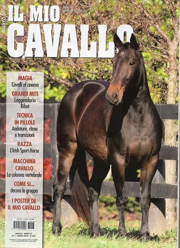Mio cavallo 2016 3 - il,