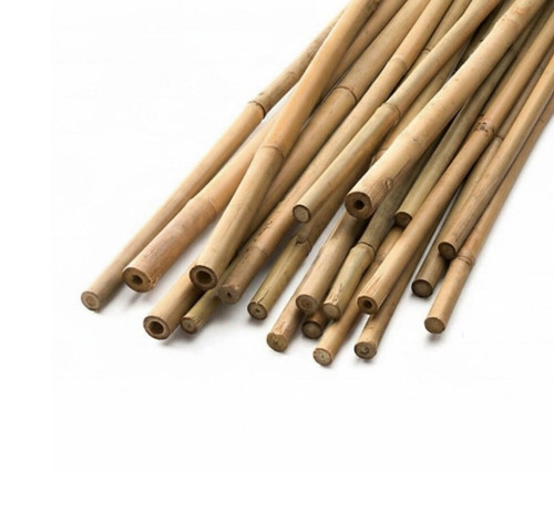Canne bambu naturali per - canne,