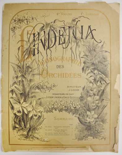 Old book libro antico lindenia - old,