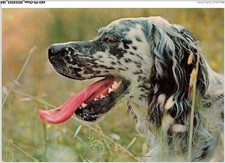 AKVP9-0737-CANE - SETTER