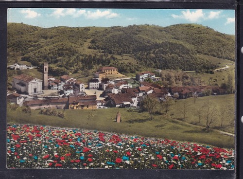 Cartolina fontanelle con - cartolina,