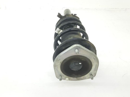 31309813653 ammortizzatore