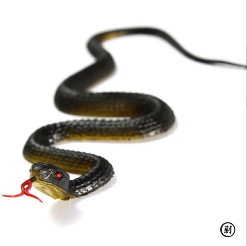 Serpente finto realistico - , 45