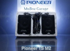 Vintage Pioneer TS-M2 Tweeter