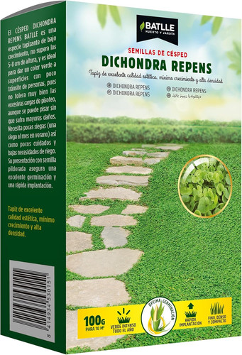 Dichondra repens - dichondra,