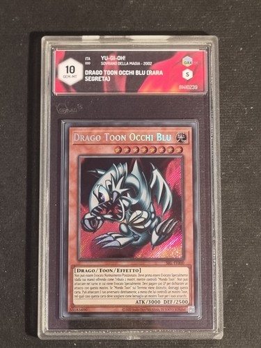 Drago toon occhi blu srl - -,